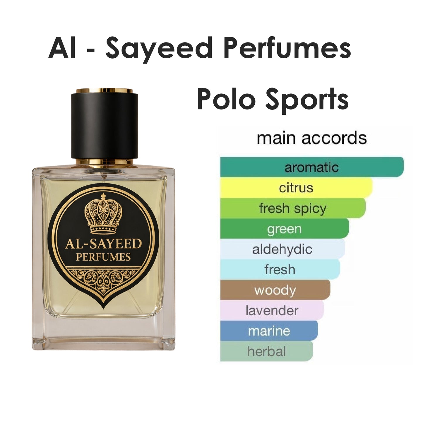 Polo Sports